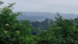 10072025 bilja sl15