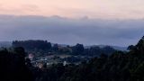 14072025 bilja sl1