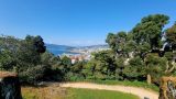 04072025 bilja sl12