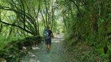 06072025 bilja sl17